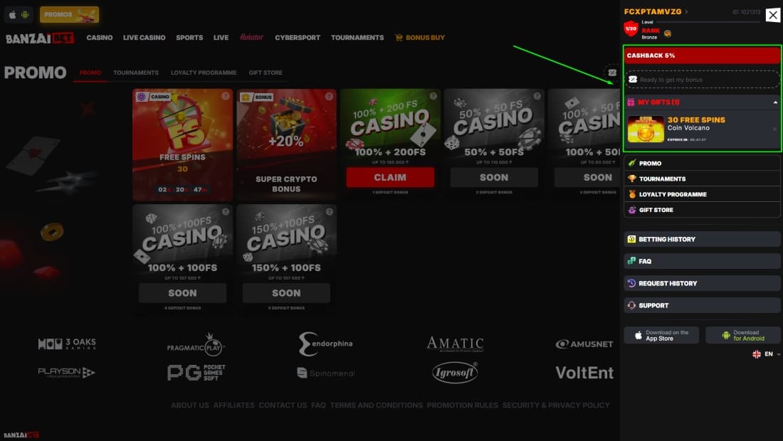 User dashboard with cashback bonus, 30 free spins reward, and promo menu options